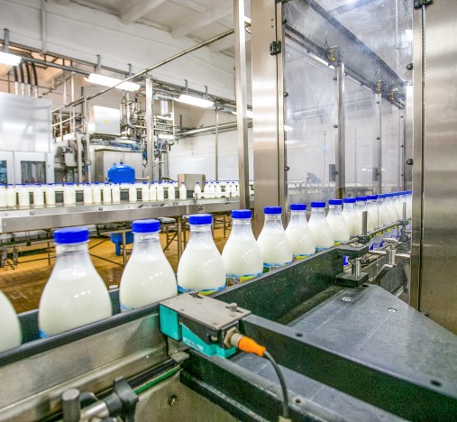 Botellas blancas con tapón azul avanzando por una cinta transportadora en una planta de envasado.
La línea está rodeada de maquinaria de acero inoxidable y protecciones transparentes.
Imagen de un proceso industrial de llenado o etiquetado en una fábrica.
